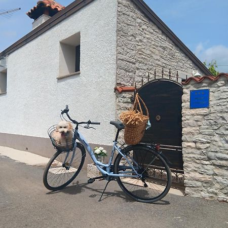 Authentic Istria&Pet Friendly Apartment Banko Near Rovinj Kanfanar Dış mekan fotoğraf