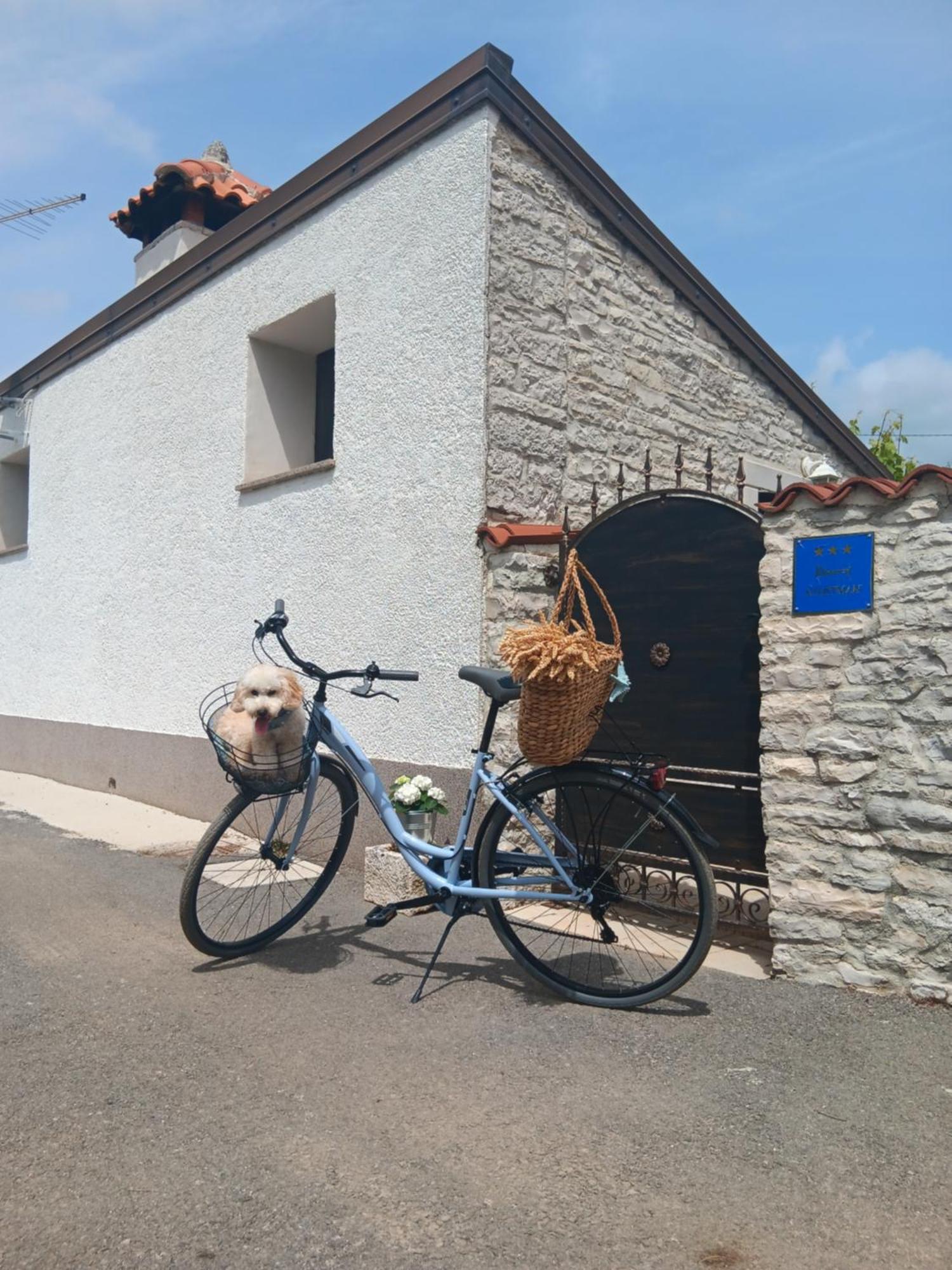 Authentic Istria&Pet Friendly Apartment Banko Near Rovinj Kanfanar Dış mekan fotoğraf