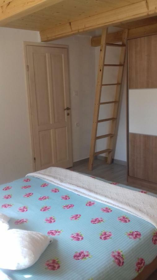 Authentic Istria&Pet Friendly Apartment Banko Near Rovinj Kanfanar Dış mekan fotoğraf